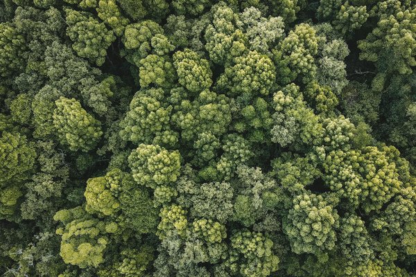 Découvrez et Achetez les Œuvres Incontournables de Pop Art : Top Sites de Vente en Ligne